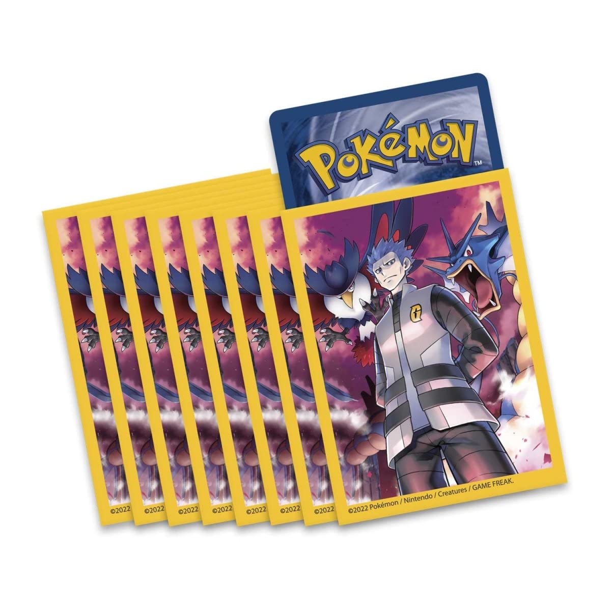 Pokemon Karten Sleeves (x65) - diverse Motive